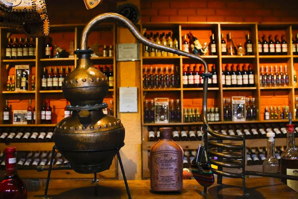 Viñedo
