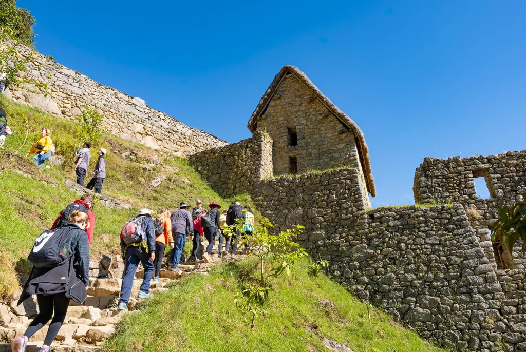 Paquete 5 Días: Tour Machu Picchu Express y Montaña de Colores