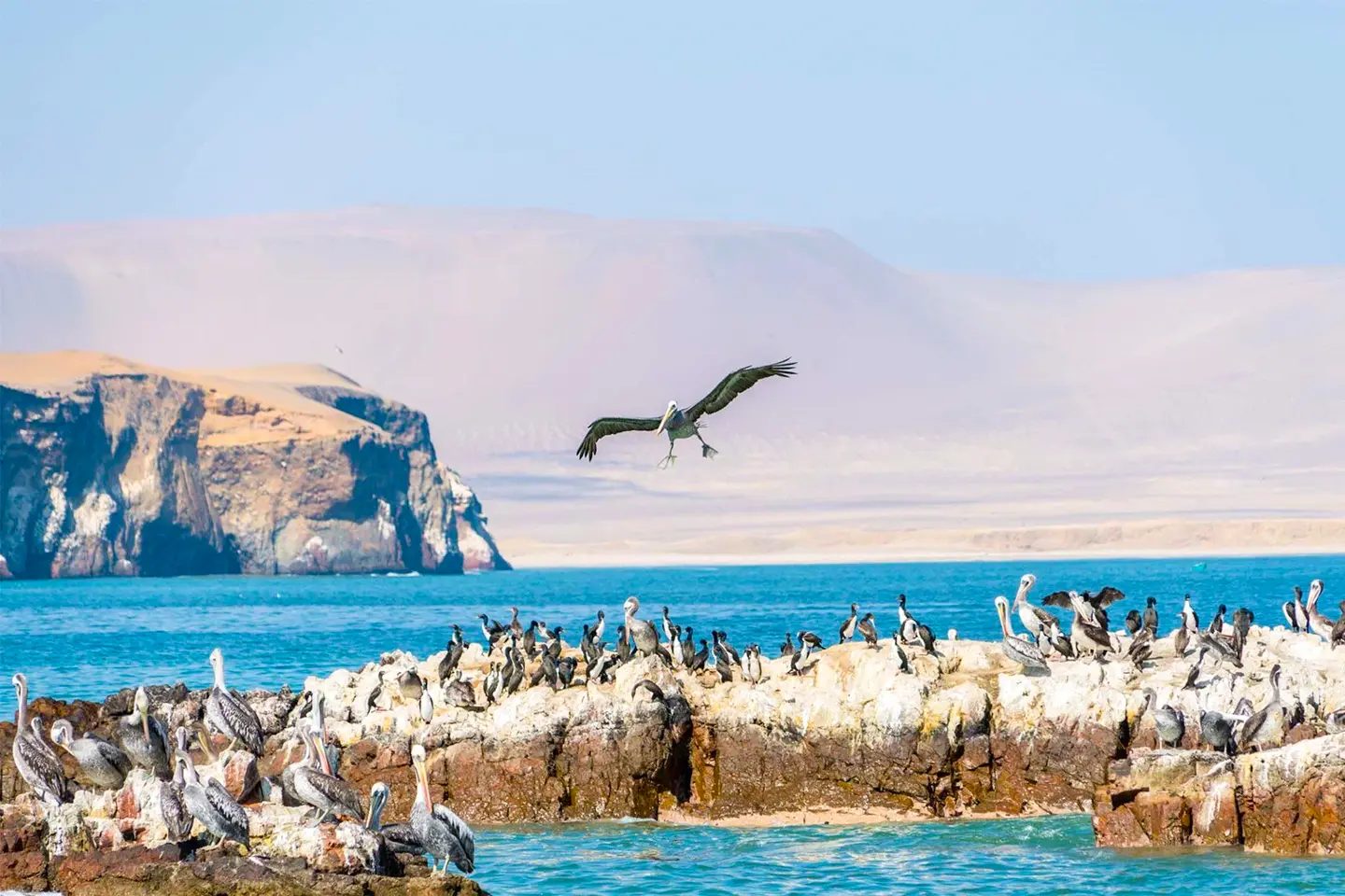 Paracas